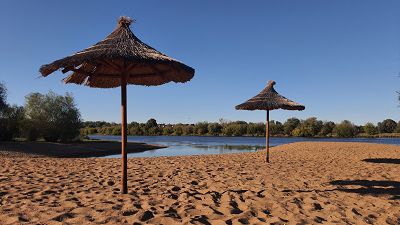Trzcinowy parasol plażowy – naturalna ochrona w stylu Eco